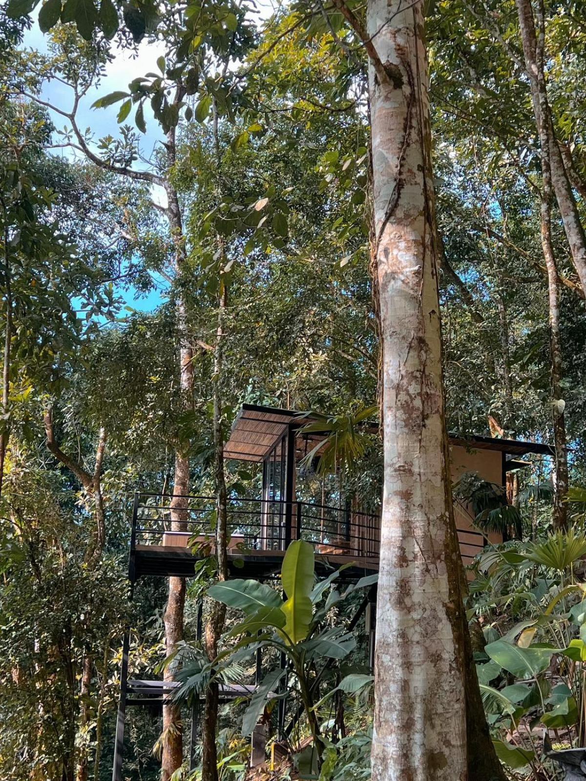 Hotel Rincon De La Sierra Minca Zewnętrze zdjęcie