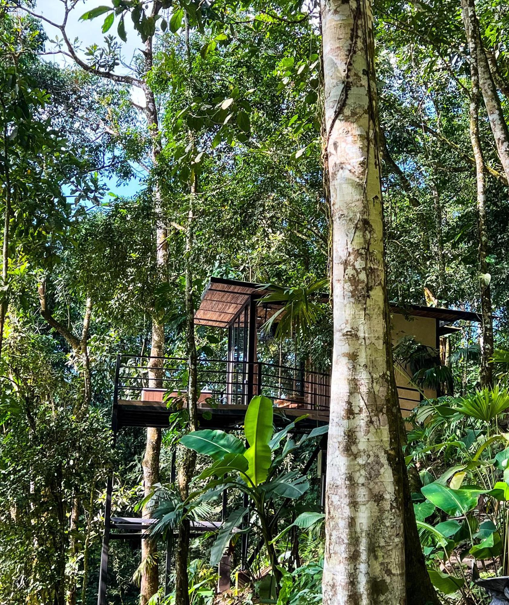 Hotel Rincon De La Sierra Minca Zewnętrze zdjęcie